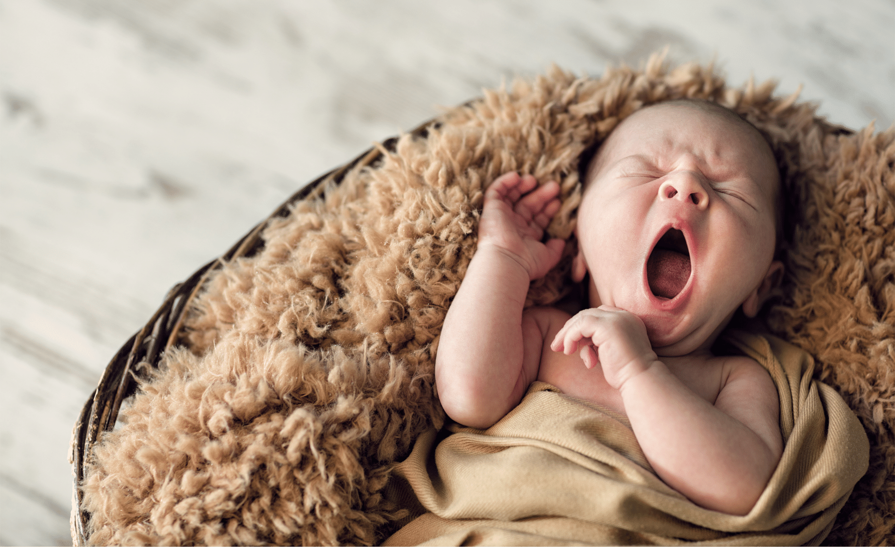 Washington County Oregon childbirth education and birthing classes for expecting, postpartum, and laboring mothers, partners, parents, and families_Birthing Days Doula