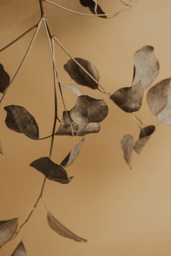 Portland doula services, support, and education for couples, partners, and families in washington country oregon- Kim Sabin birthing expert for birth, pregnant, labor, or bereavement families.